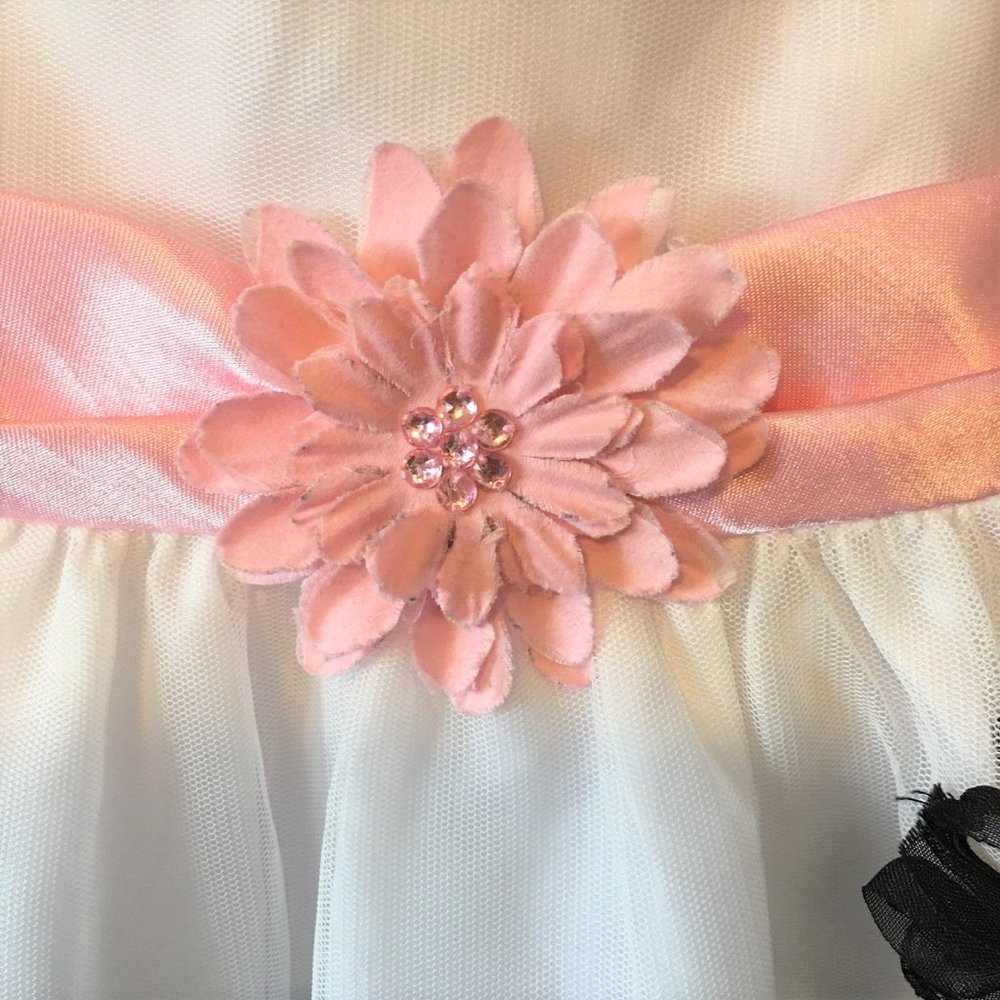 RARE EDITIONS Baby Girl Dress | 6-9M - Picture 3 of 10
